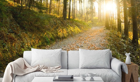 Hopeless With House Plants? 7 Ways to Bring Flora Into Your Home
