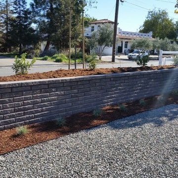 Drought Tolerant