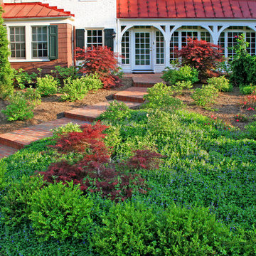 Suburban Estate