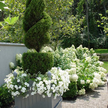Gardens & Patios