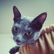 Joji Oya's photo