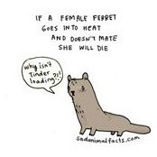 Helen Spires's photo