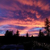 M. Glen Bowden's photo