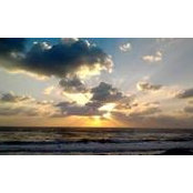 Alon Kol's photo