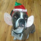 Laurie Ditewig Mazzella's photo