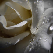 S&J's photo