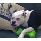 Susan Smith's photo