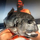 Steve Gealy's photo