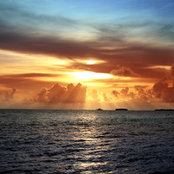 Lisa Pearson's photo