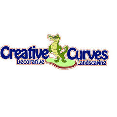 Creative Curves