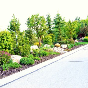 Luxury Outdoor Living Landscape