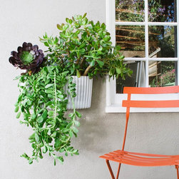 Living Wall - Products