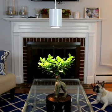 The Aspect - Where Home Meets Garden