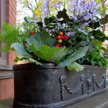 Window Boxes & Planters