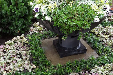Photo of a victorian front yard formal garden in Boston.