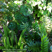 heather_sloan's ideas