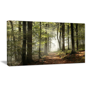 "Green Fall Forest With Sun Rays" Landscape Canvas Photo Print, 40"x20"