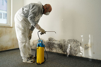 Mold remediation cost - Mold removal cost