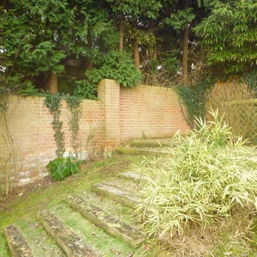 Parson's Plot