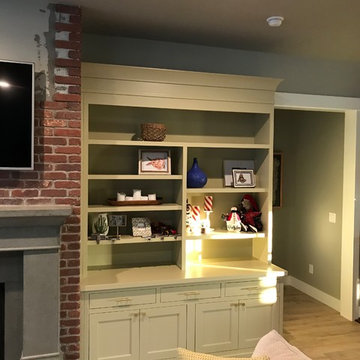Living Room Built-Ins
