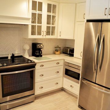 Carrollwood Kitchen Remodel