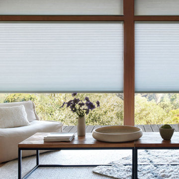 Hunter Douglas Honeycomb Shades