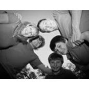 Ernie Molinaro's photo