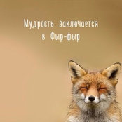 Elena Shi's photo