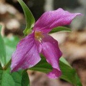 Mandy Hill's photo