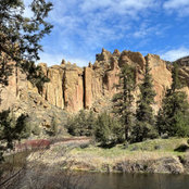 Cathy Foreman's photo