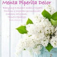 Foto di profilo di Menta piperita decor