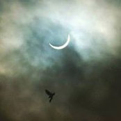 Cifran Winterhawk's photo