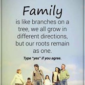 Lou Preece's photo