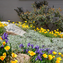 Garden Inspirations