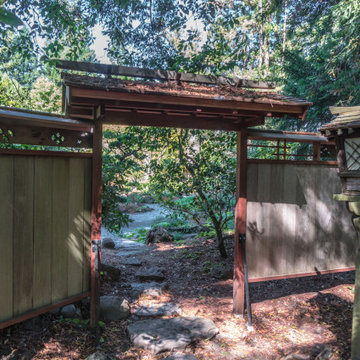 Japanese Garden Rebuild