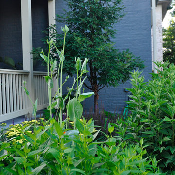 Urban Prairie- German Village