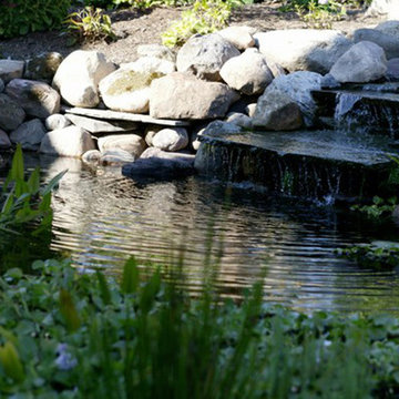 Pond