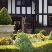 Garden fences and plants