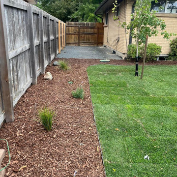 Cedar Street New Patio & Plants - Colorado Springs, CO