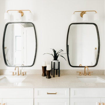 Mansard Roof Urban Home