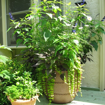 Tropical Containers