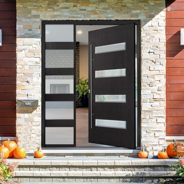 Pivot Door Collection DB-PVT-004