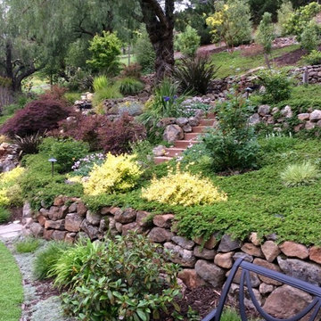 Award Winning Orinda Backyard