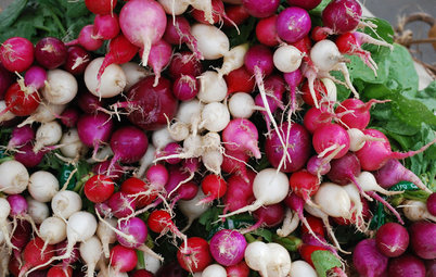Cool-Season Vegetables: How to Grow Radishes