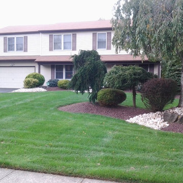 Lawn renovation