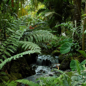 Miami Landscape Design Ideas