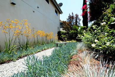 This is an example of a small contemporary backyard partial sun xeriscape for summer in Los Angeles with gravel and a garden path.