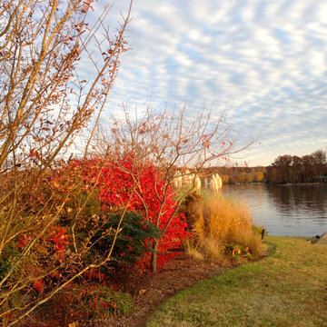 Lake near Fredericksburg, VA: Plant&Sustain for Clean Water