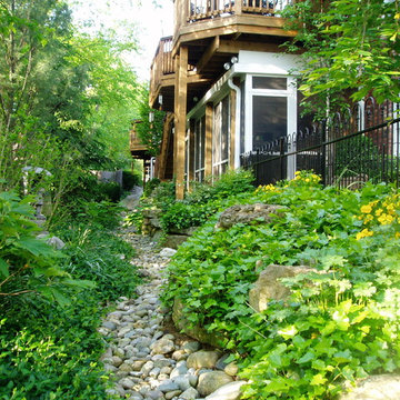 Side Yard Landscaping