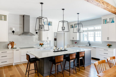 Inspiration for a kitchen remodel in Boston